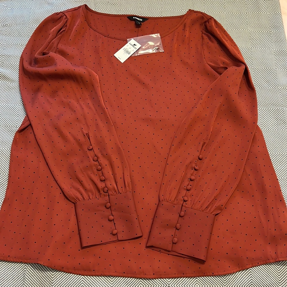 Beautiful Express blouse